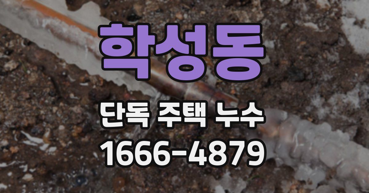 학성동 단독 주택 누수