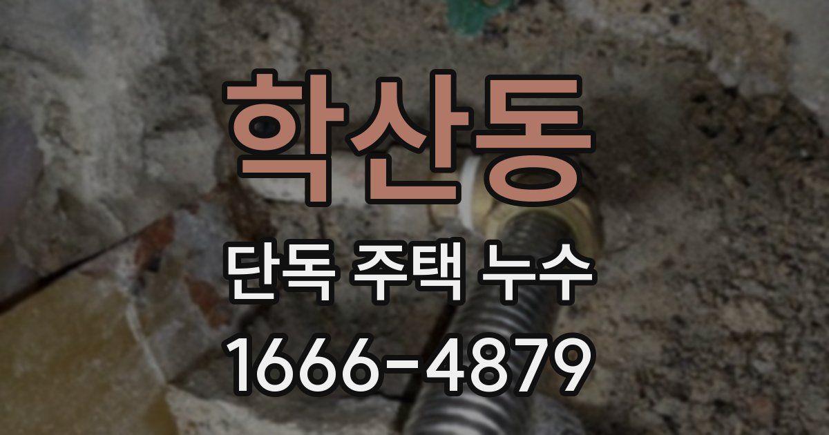 학산동 단독 주택 누수