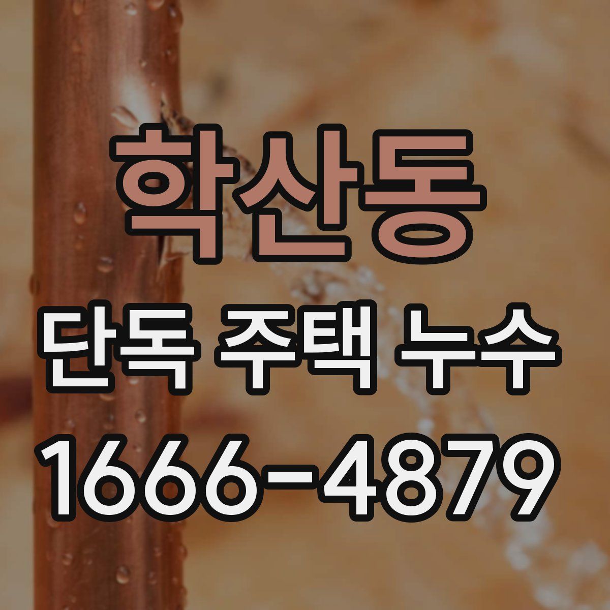 학산동 단독 주택 누수