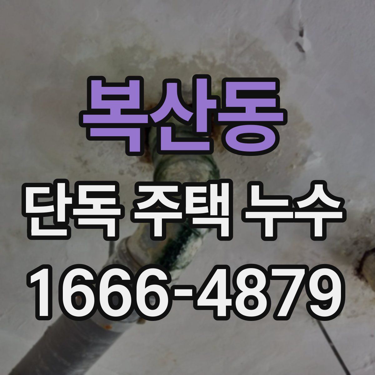 복산동 단독 주택 누수