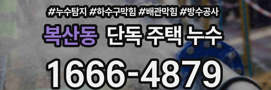 복산동 단독 주택 누수