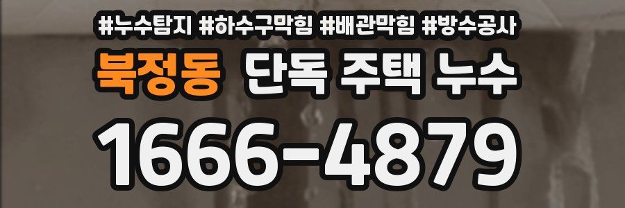 북정동 단독 주택 누수