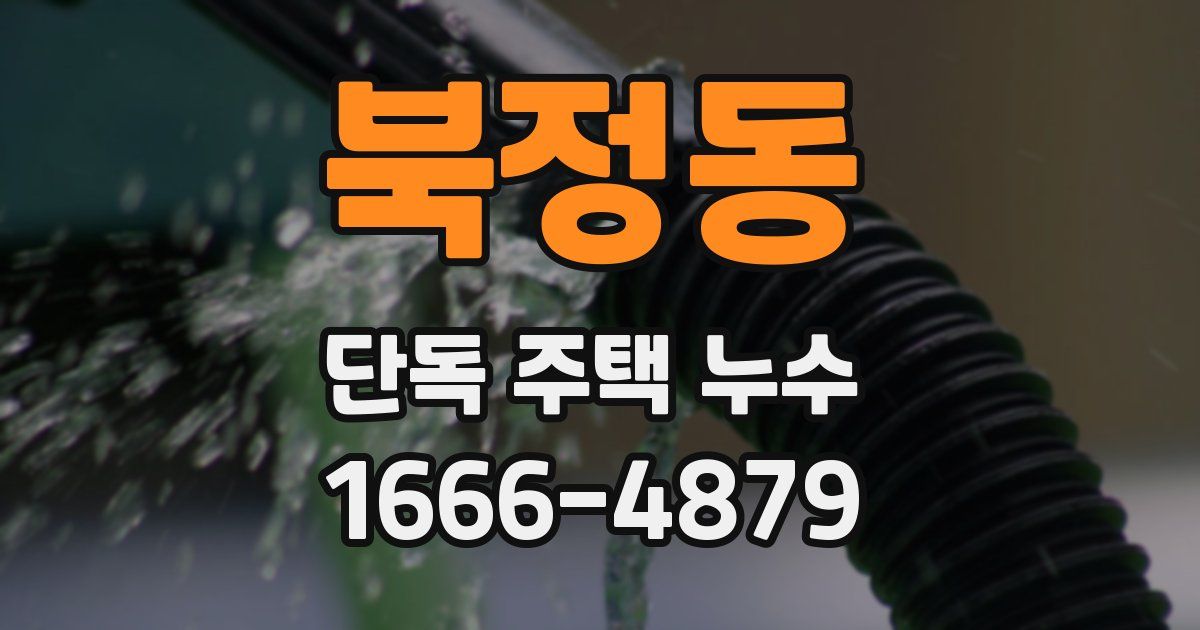 북정동 단독 주택 누수