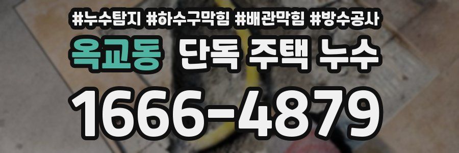 옥교동 단독 주택 누수