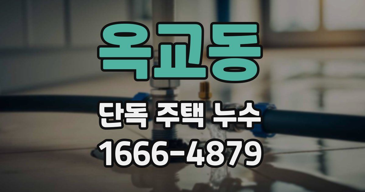 옥교동 단독 주택 누수