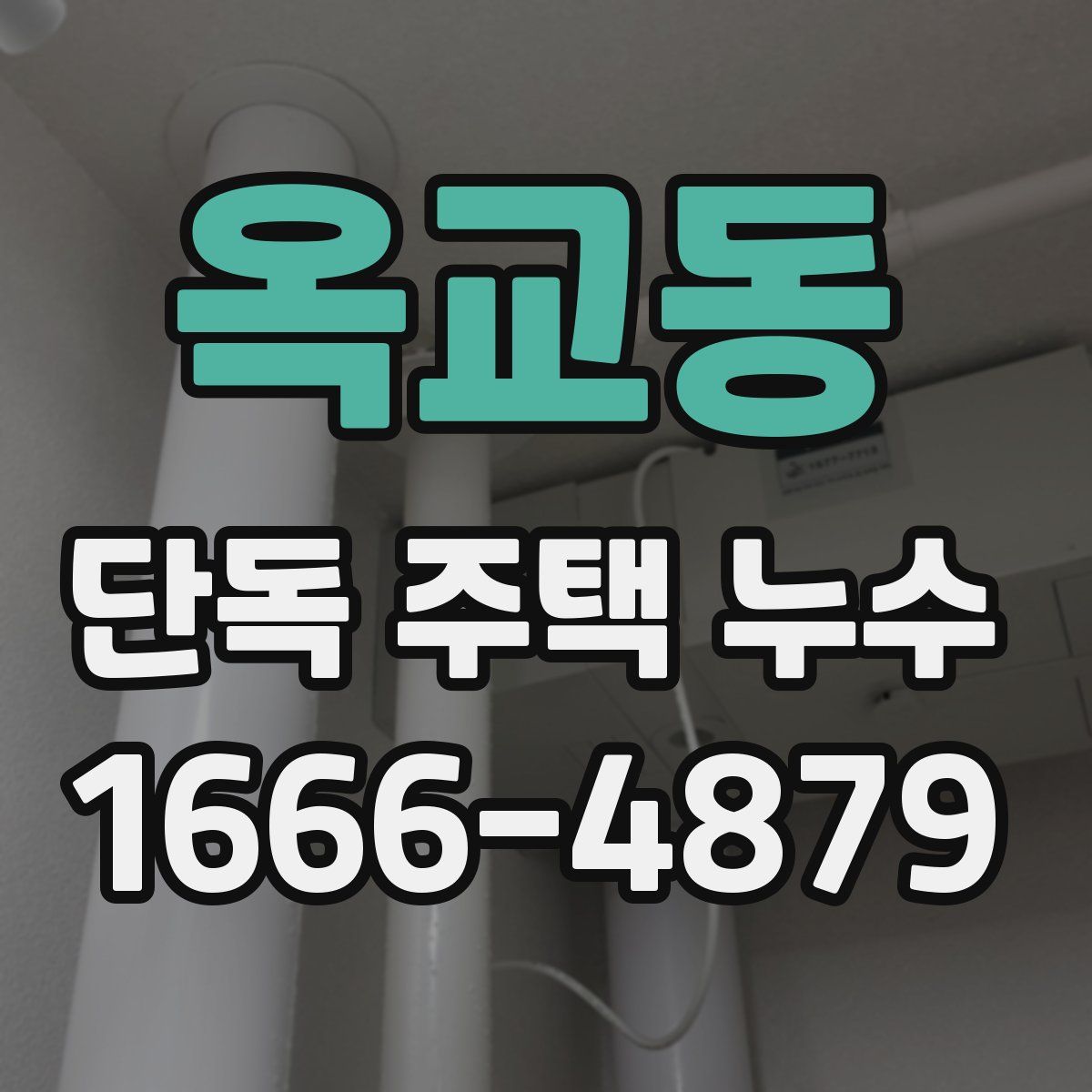 옥교동 단독 주택 누수
