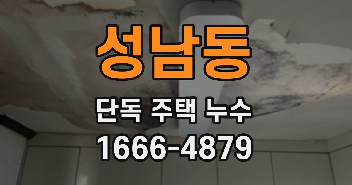 성남동 단독 주택 누수
