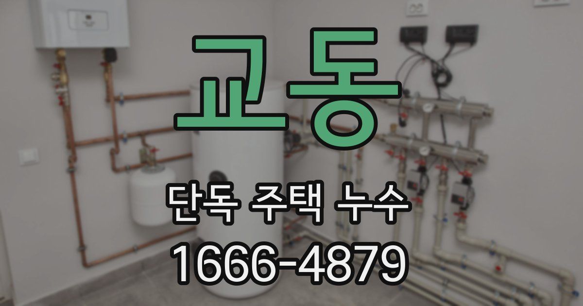 교동 단독 주택 누수