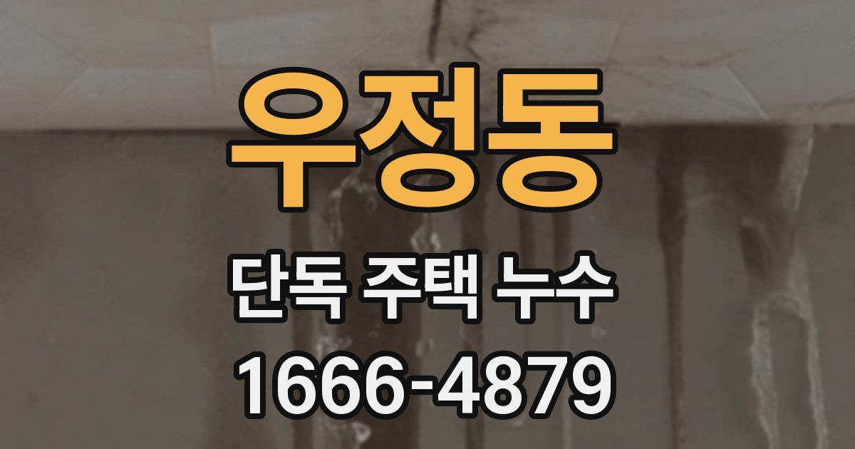 우정동 단독 주택 누수