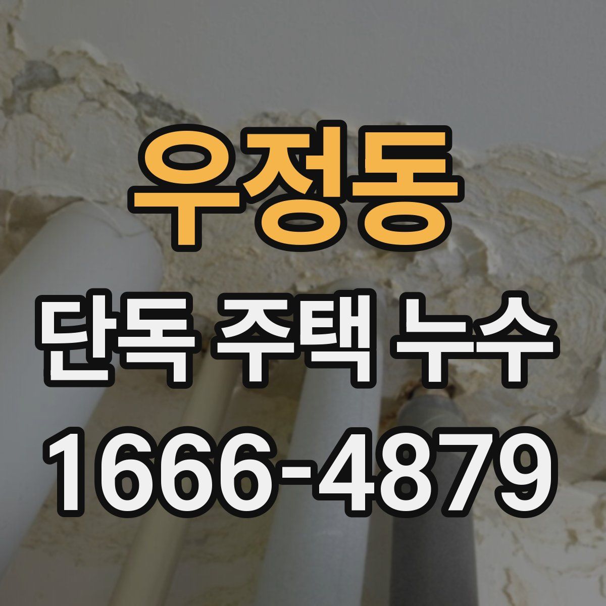 우정동 단독 주택 누수
