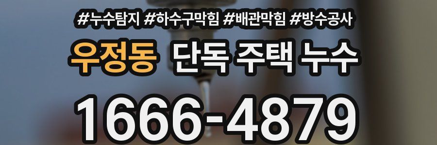 우정동 단독 주택 누수