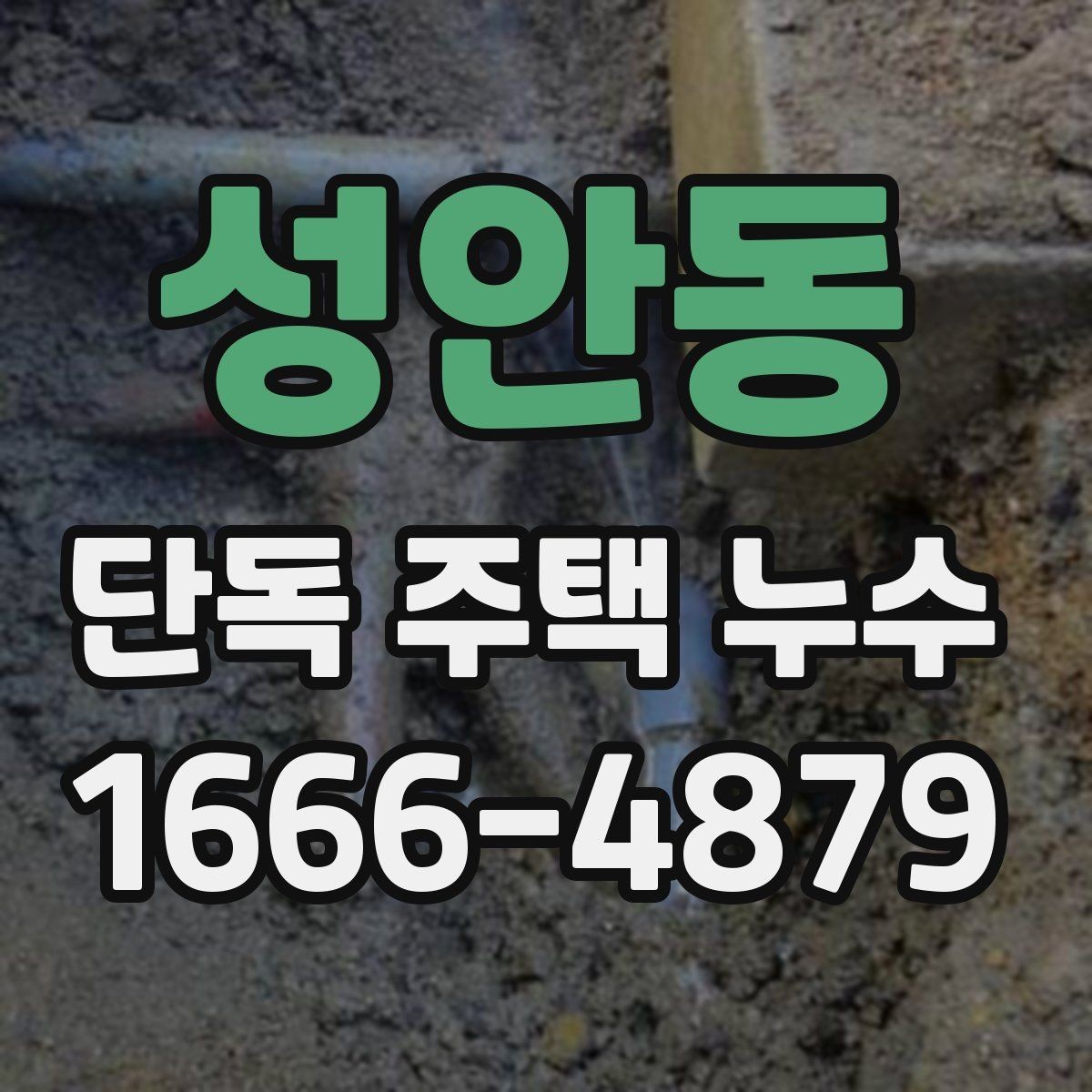 성안동 단독 주택 누수 벽지 들뜸이 보일 때 점검 대상