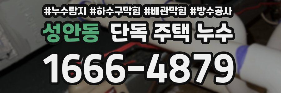성안동 단독 주택 누수