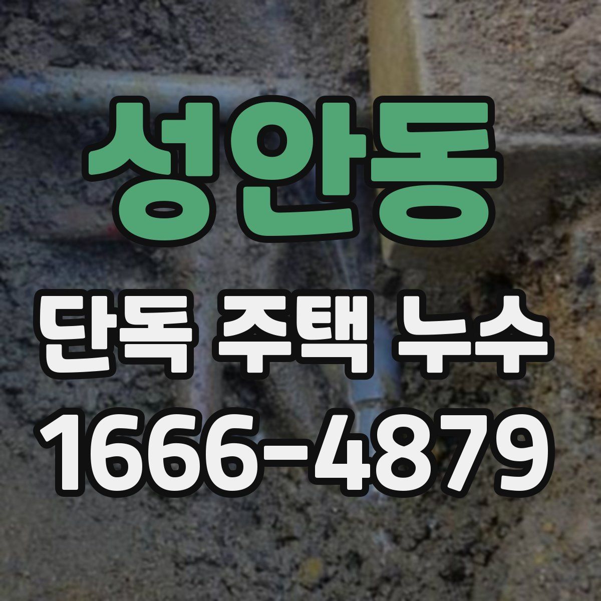 성안동 단독 주택 누수