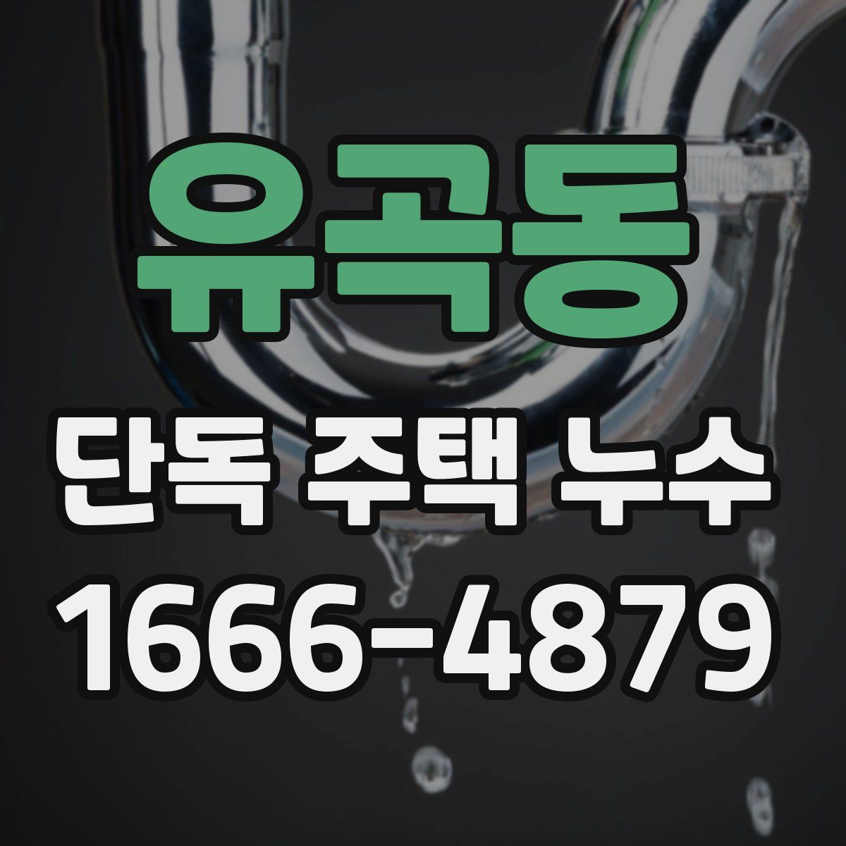 유곡동 단독 주택 누수