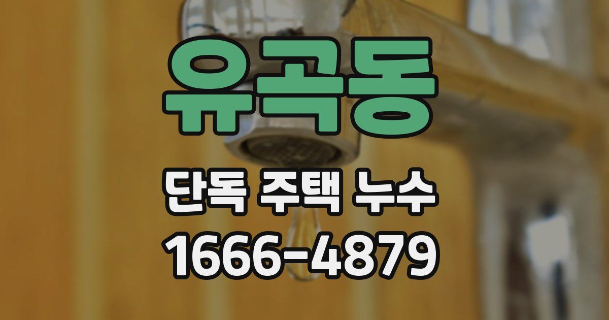 유곡동 단독 주택 누수