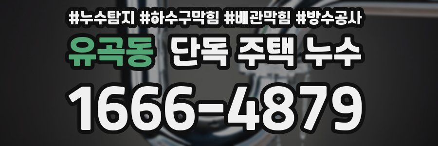 유곡동 단독 주택 누수