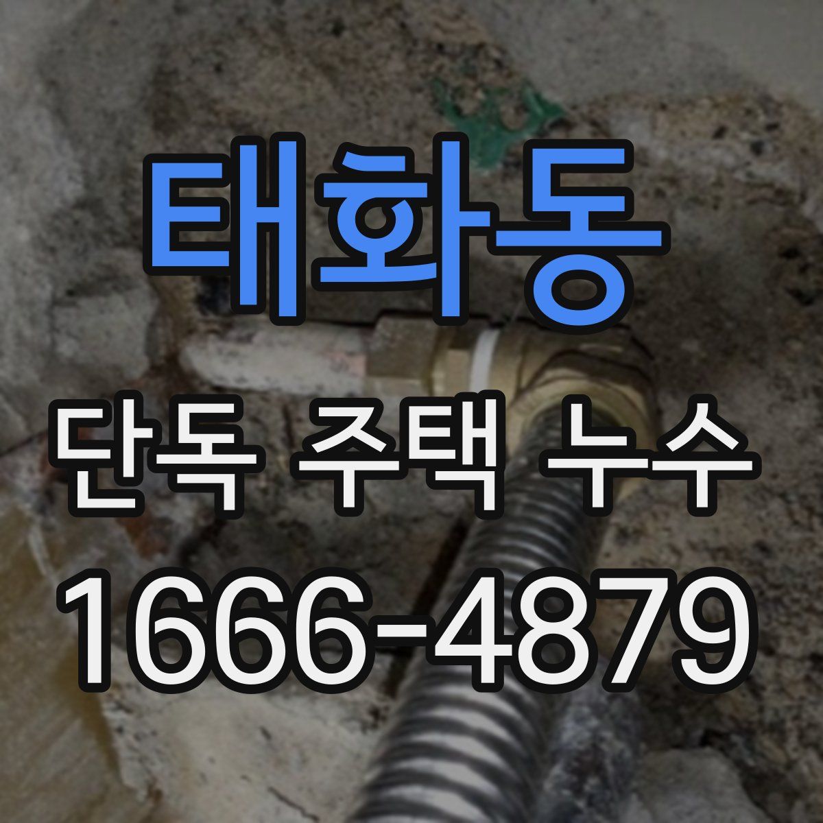 태화동 단독 주택 누수