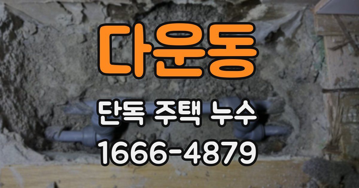 다운동 단독 주택 누수