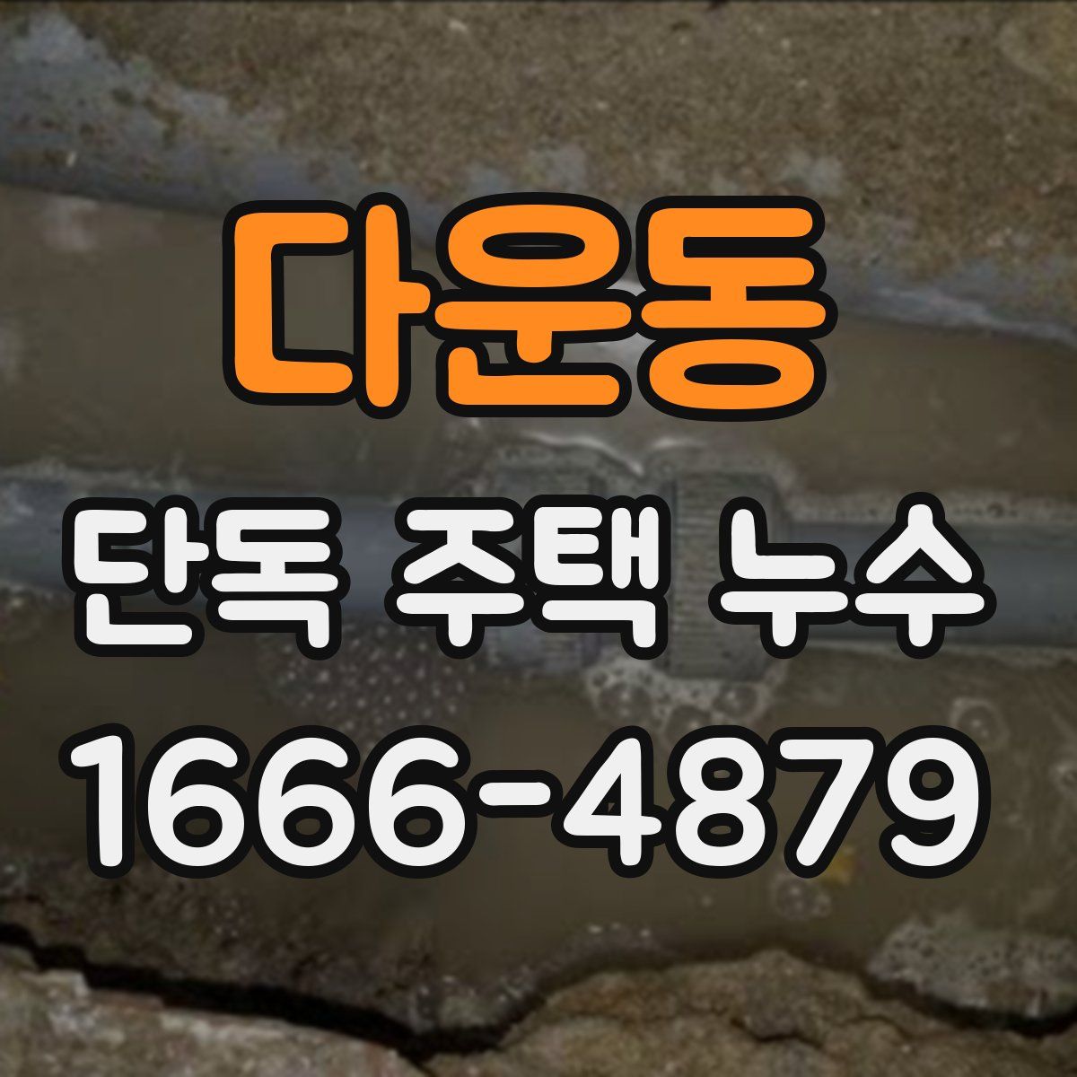 다운동 단독 주택 누수