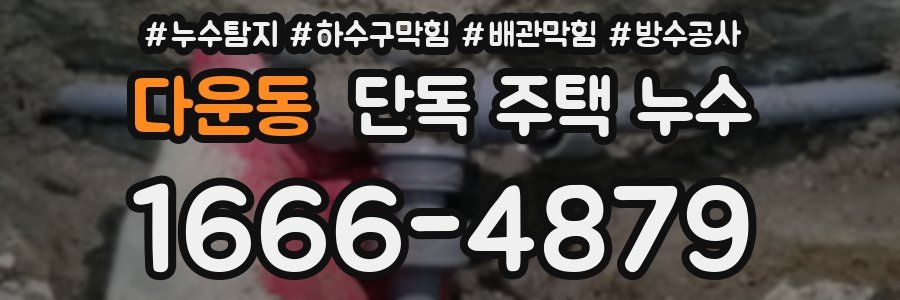 다운동 단독 주택 누수