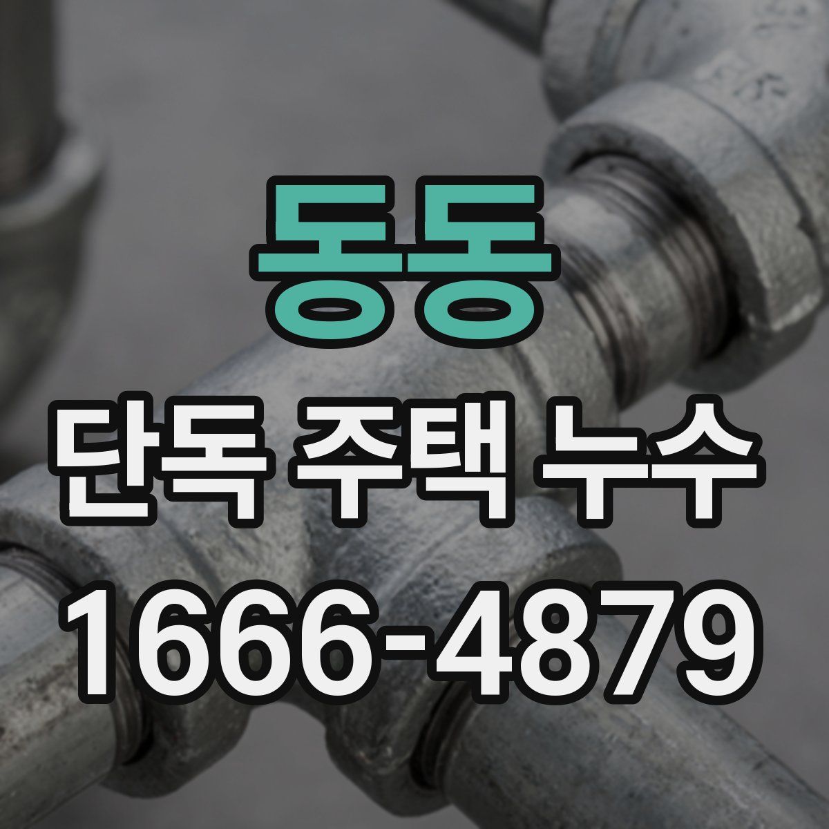동동 단독 주택 누수
