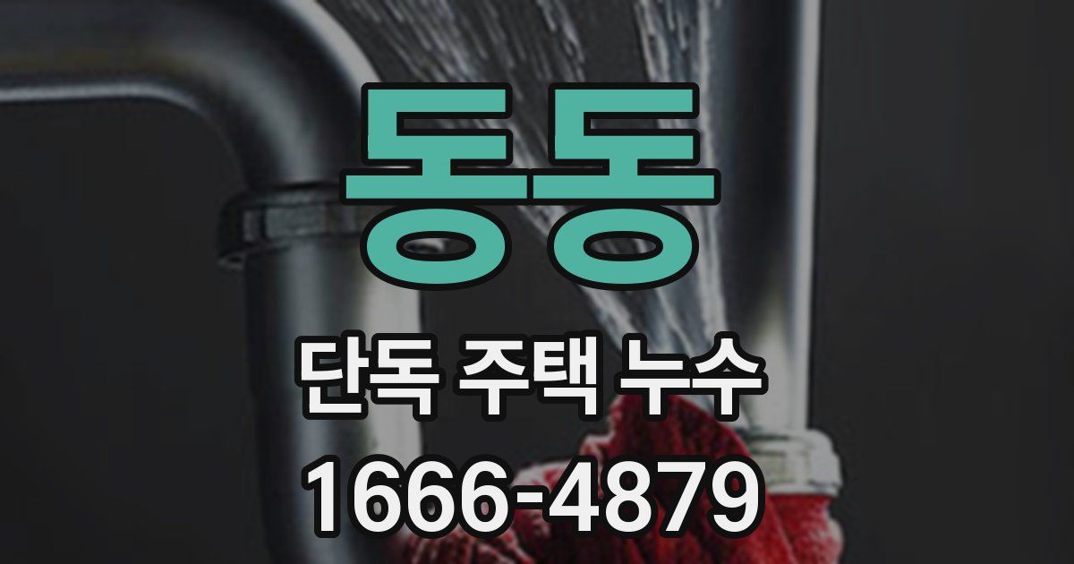 동동 단독 주택 누수