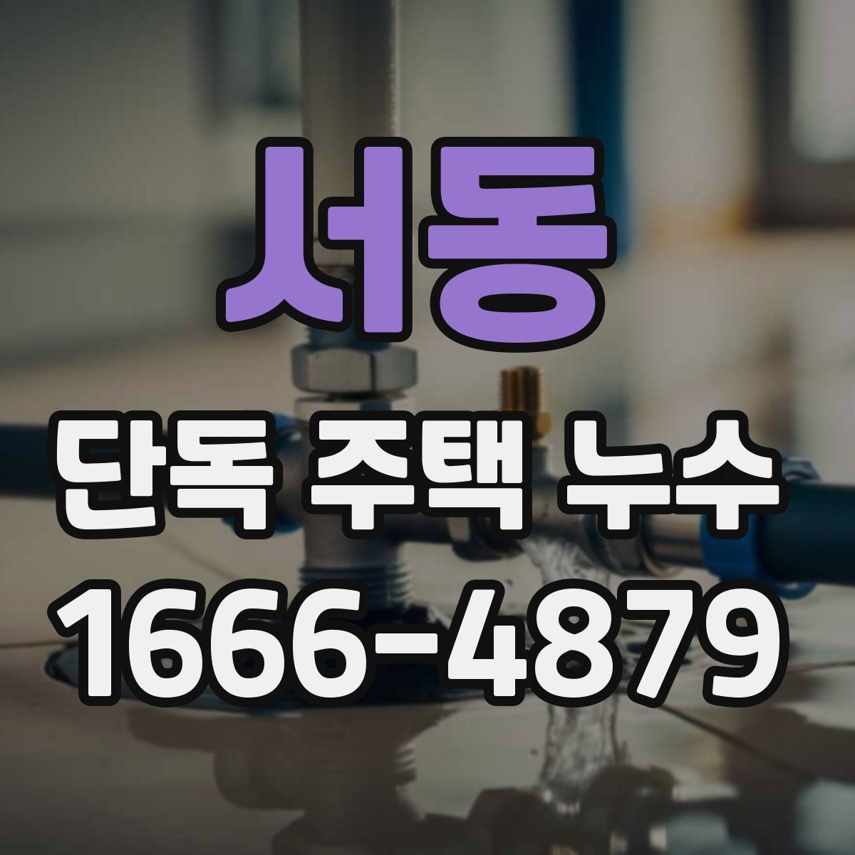 서동 단독 주택 누수