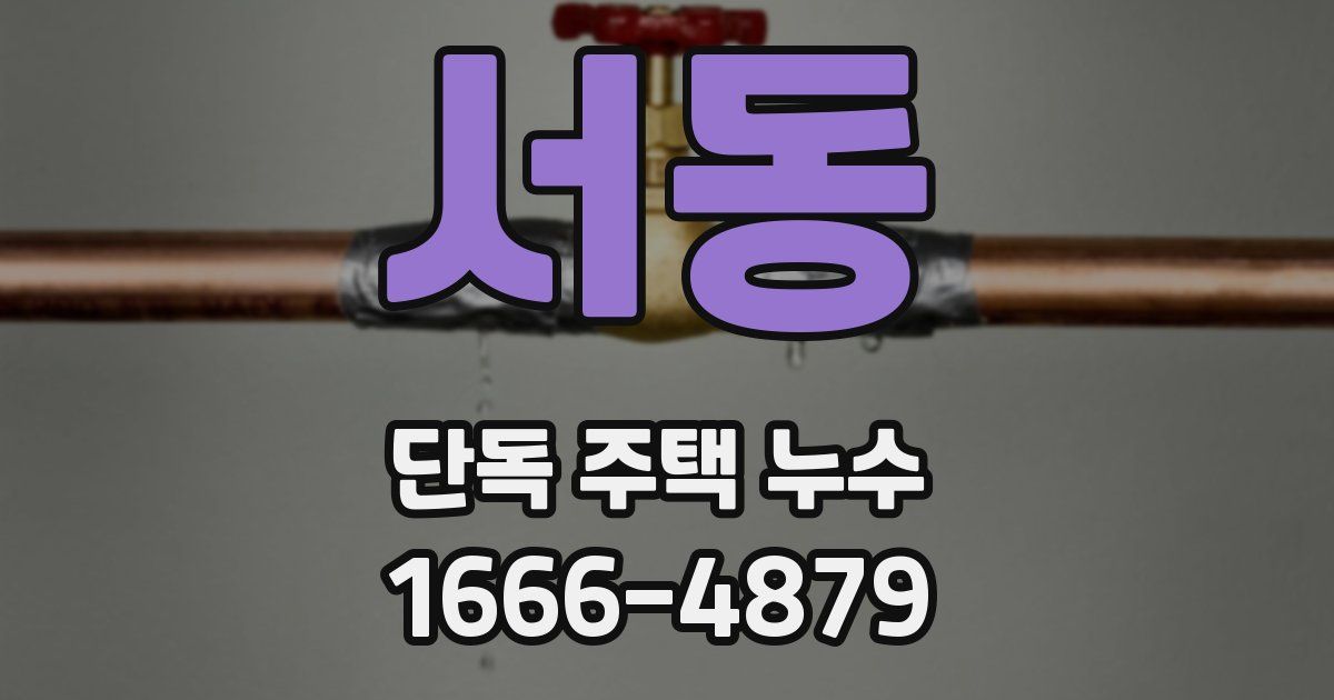 서동 단독 주택 누수