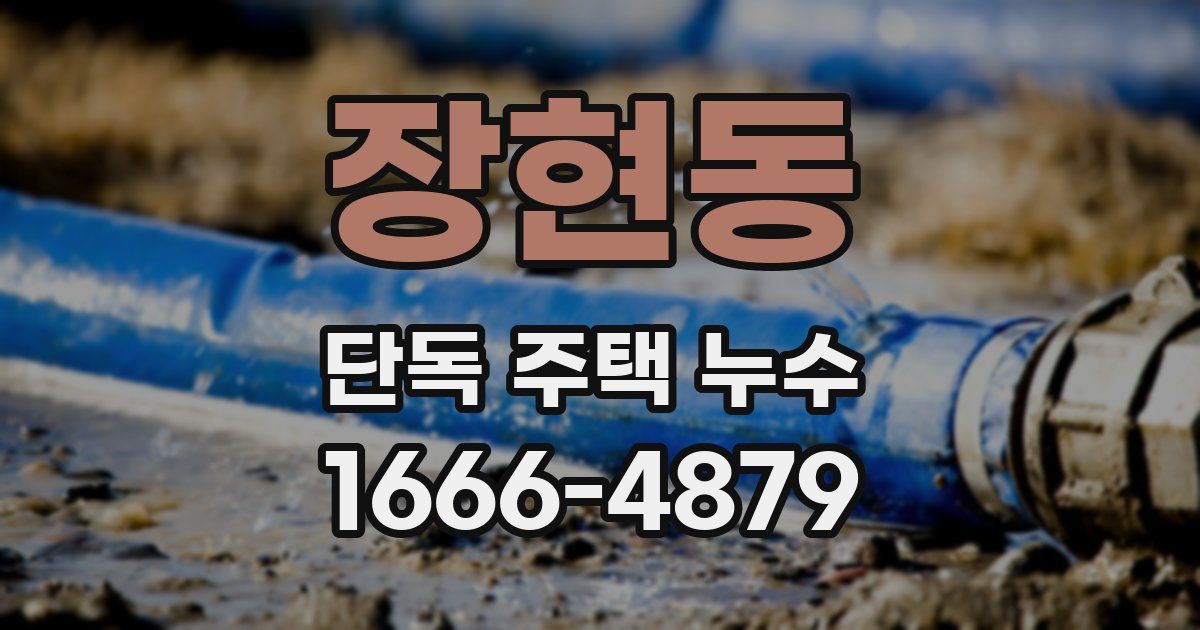 장현동 단독 주택 누수