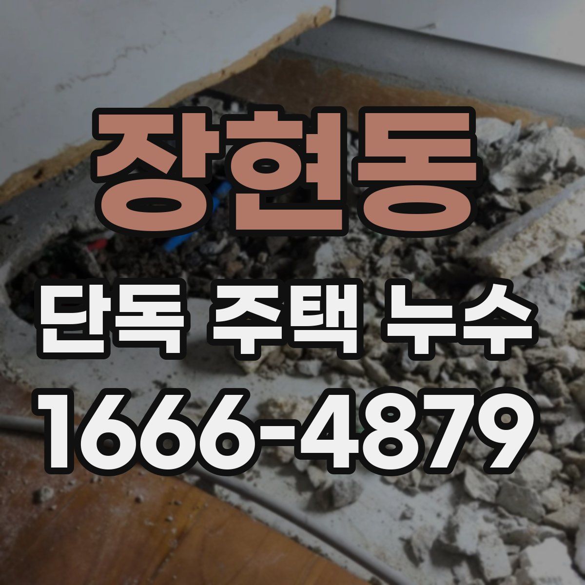 장현동 단독 주택 누수