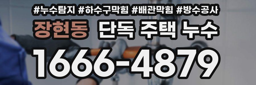 장현동 단독 주택 누수