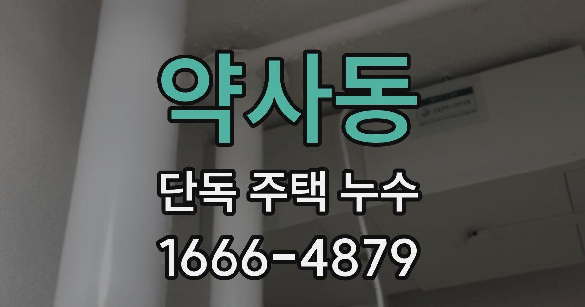 약사동 단독 주택 누수