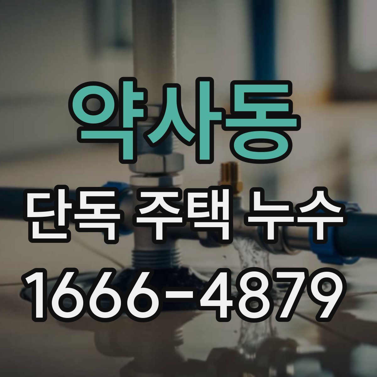 약사동 단독 주택 누수