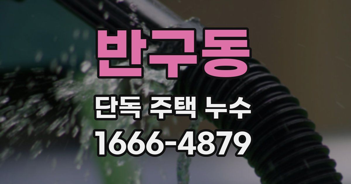 반구동 단독 주택 누수