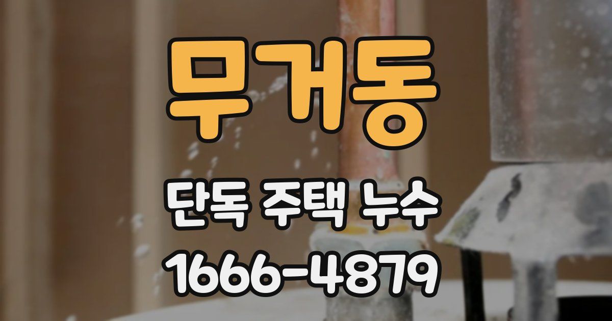 무거동 단독 주택 누수