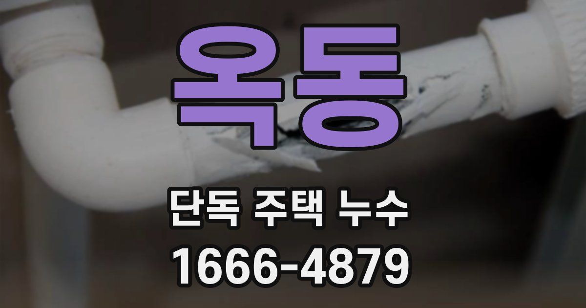 옥동 단독 주택 누수