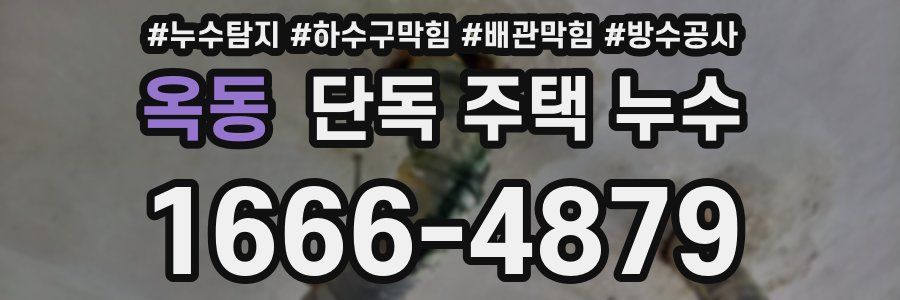 옥동 단독 주택 누수
