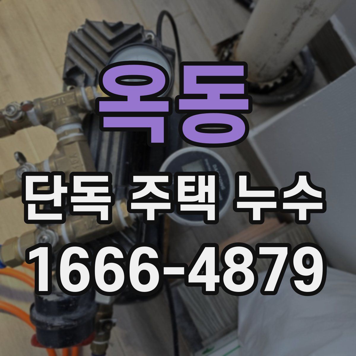 옥동 단독 주택 누수