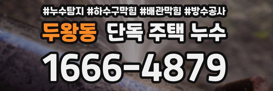 두왕동 단독 주택 누수