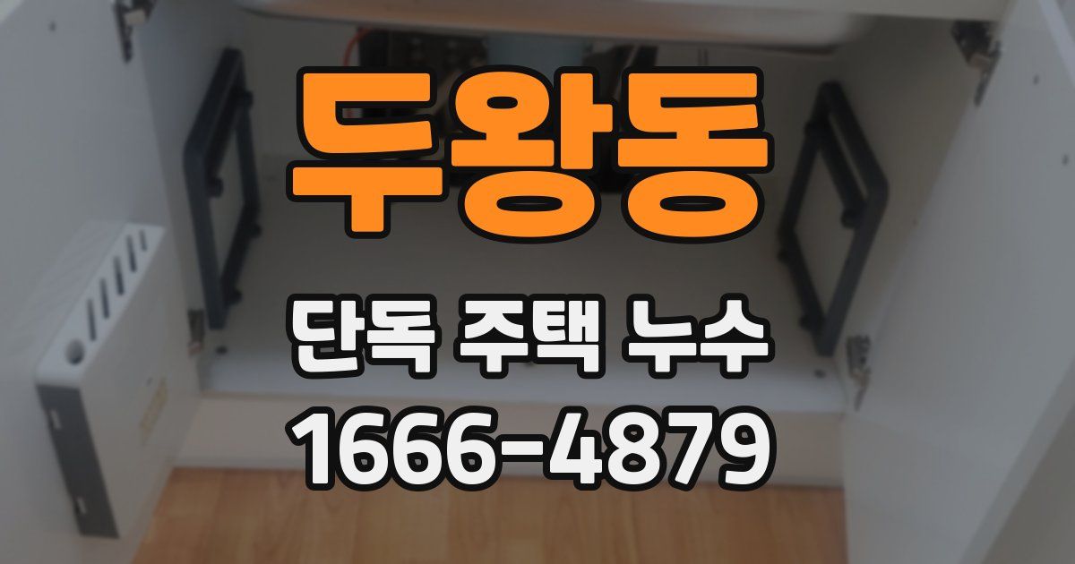 두왕동 단독 주택 누수