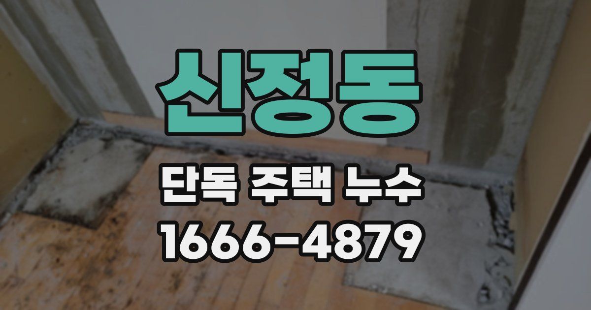 신정동 단독 주택 누수