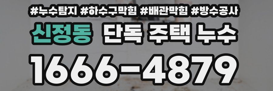신정동 단독 주택 누수