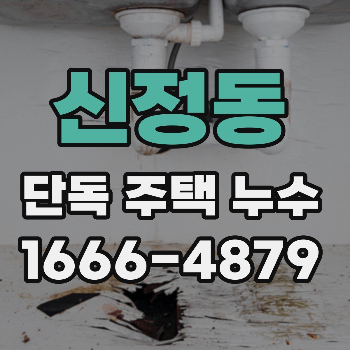 신정동 단독 주택 누수