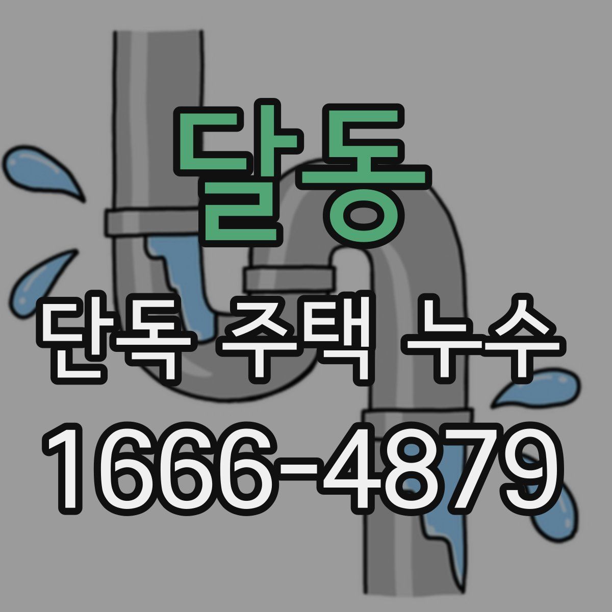 달동 단독 주택 누수