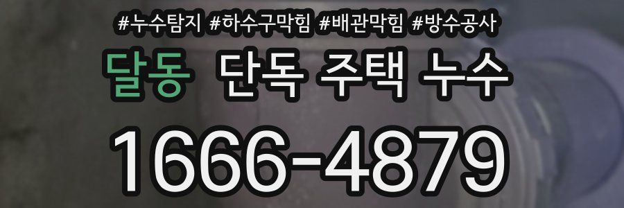 달동 단독 주택 누수