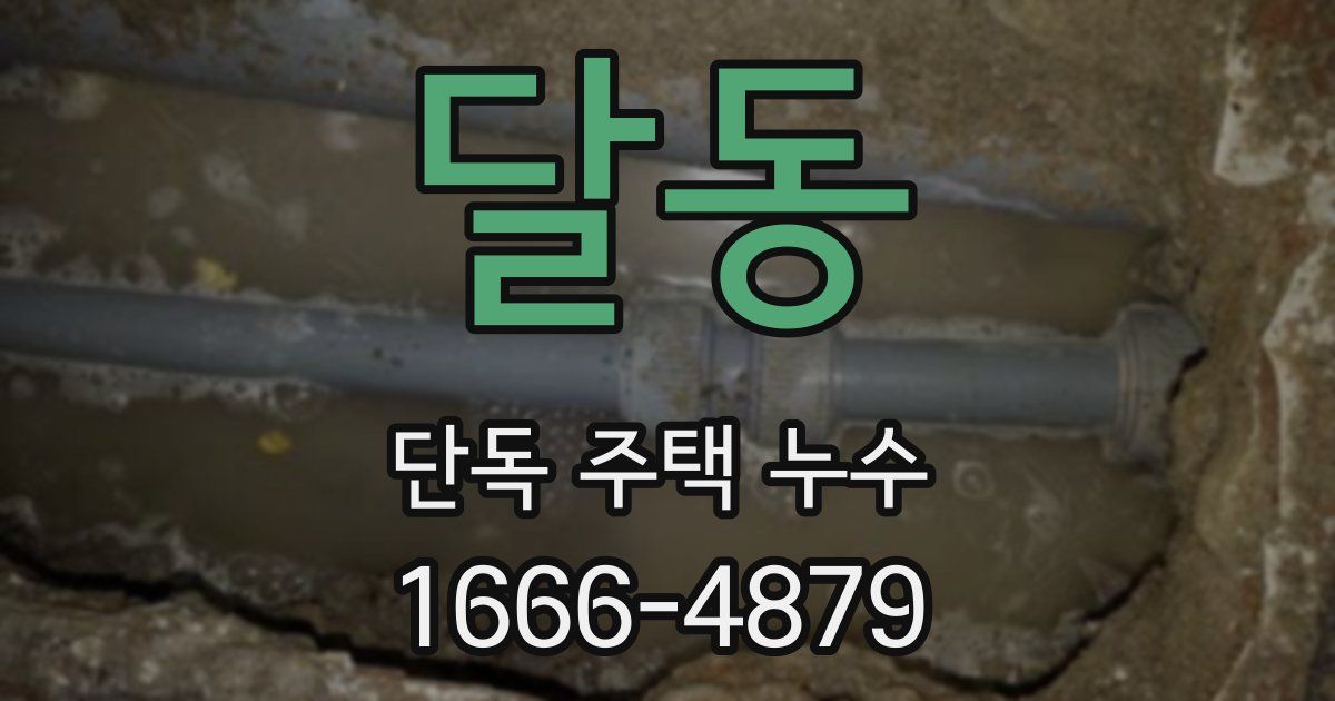 달동 단독 주택 누수
