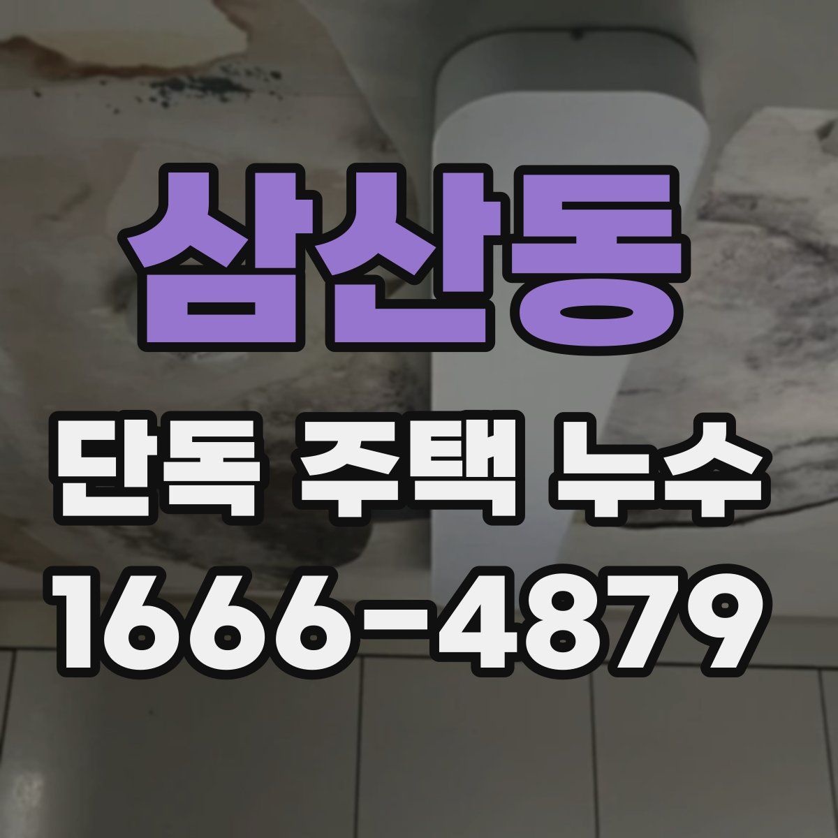 삼산동 단독 주택 누수