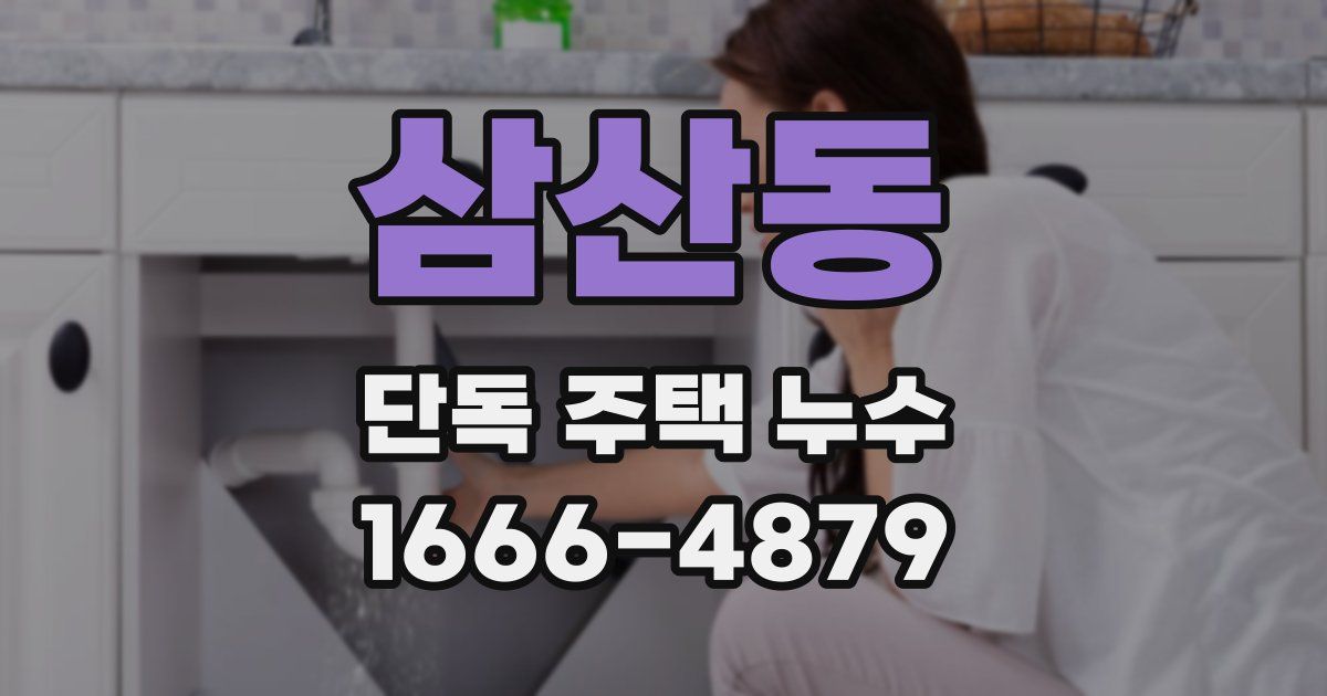 삼산동 단독 주택 누수