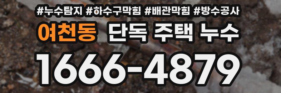 여천동 단독 주택 누수